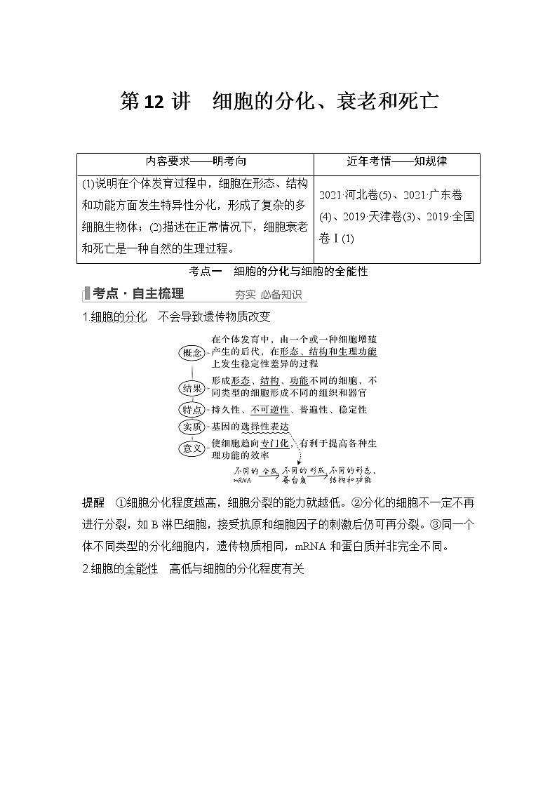 2023版创新设计高考生物（新教材人教版）总复习一轮讲义第12讲 细胞的分化、衰老和死亡第1页