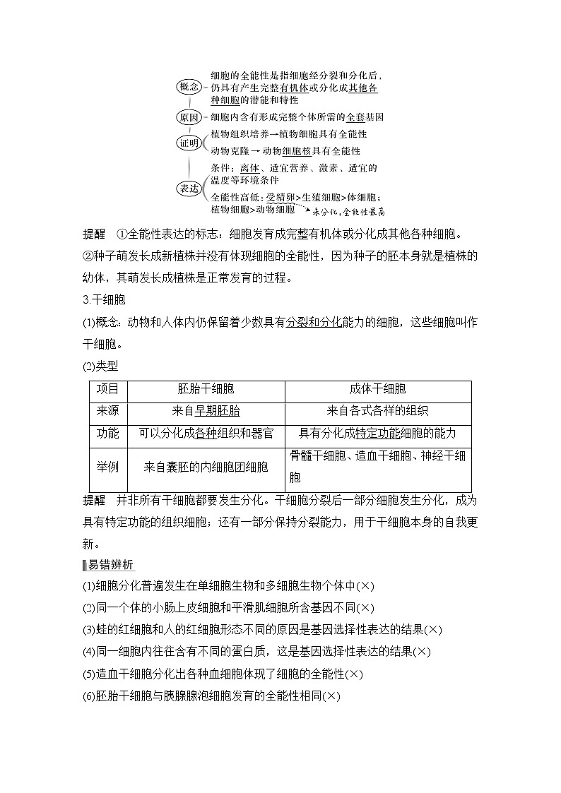 2023版创新设计高考生物（新教材人教版）总复习一轮讲义第12讲 细胞的分化、衰老和死亡第2页