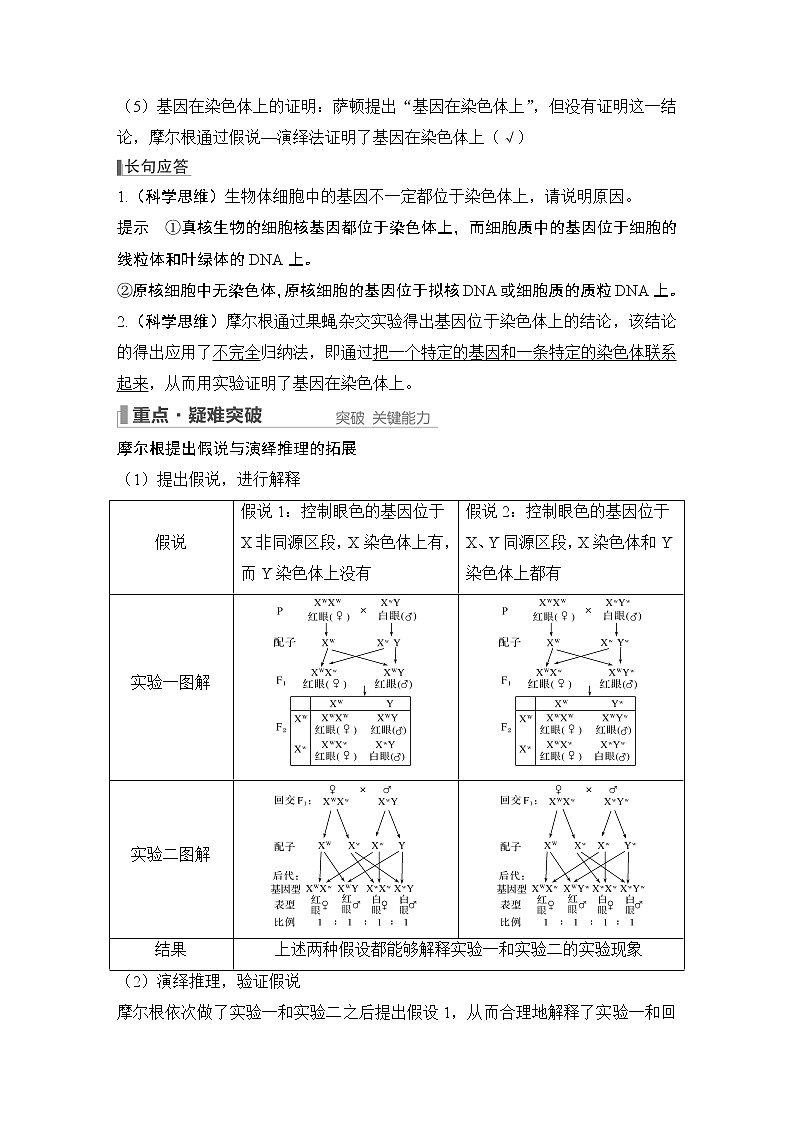 2023版创新设计高考生物（新教材人教版）总复习一轮讲义第15讲 伴性遗传和人类遗传病第3页