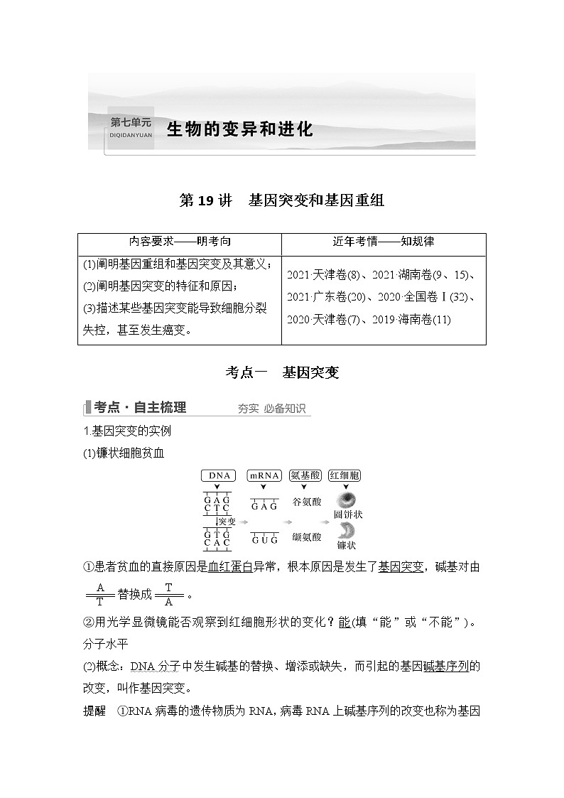 2023版创新设计高考生物（新教材人教版）总复习一轮讲义第19讲 基因突变和基因重组第1页