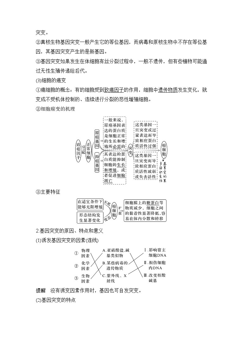 2023版创新设计高考生物（新教材人教版）总复习一轮讲义第19讲 基因突变和基因重组第2页