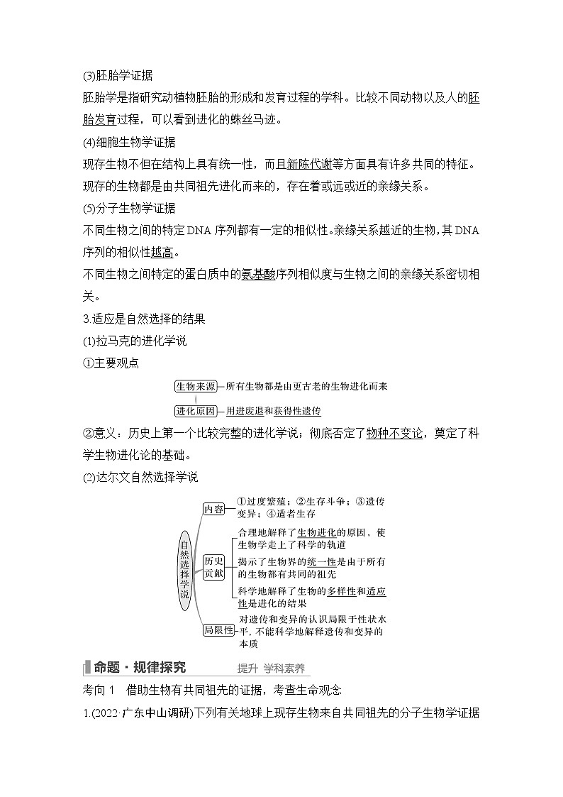 2023版创新设计高考生物（新教材人教版）总复习一轮讲义第21讲 生物的进化第2页
