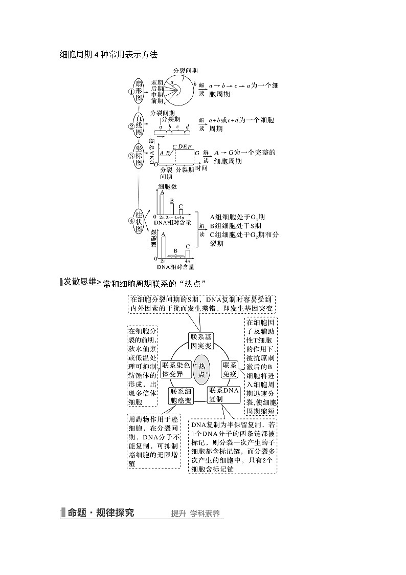 2023版创新设计高考生物（新教材人教版）总复习一轮讲义第10讲 细胞的增殖第3页