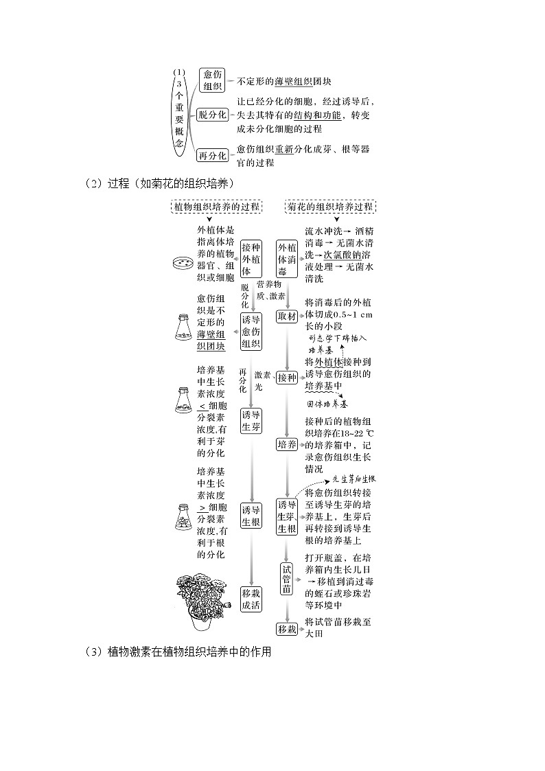 2023版创新设计高考生物（新教材人教版）总复习一轮讲义第34讲 细胞工程和胚胎工程第2页