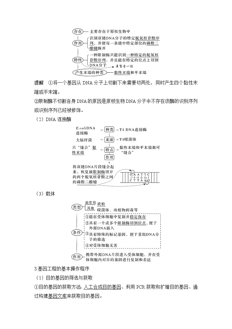 2023版创新设计高考生物（新教材人教版）总复习一轮讲义第35讲 基因工程及生物技术的安全性与伦理问题第2页