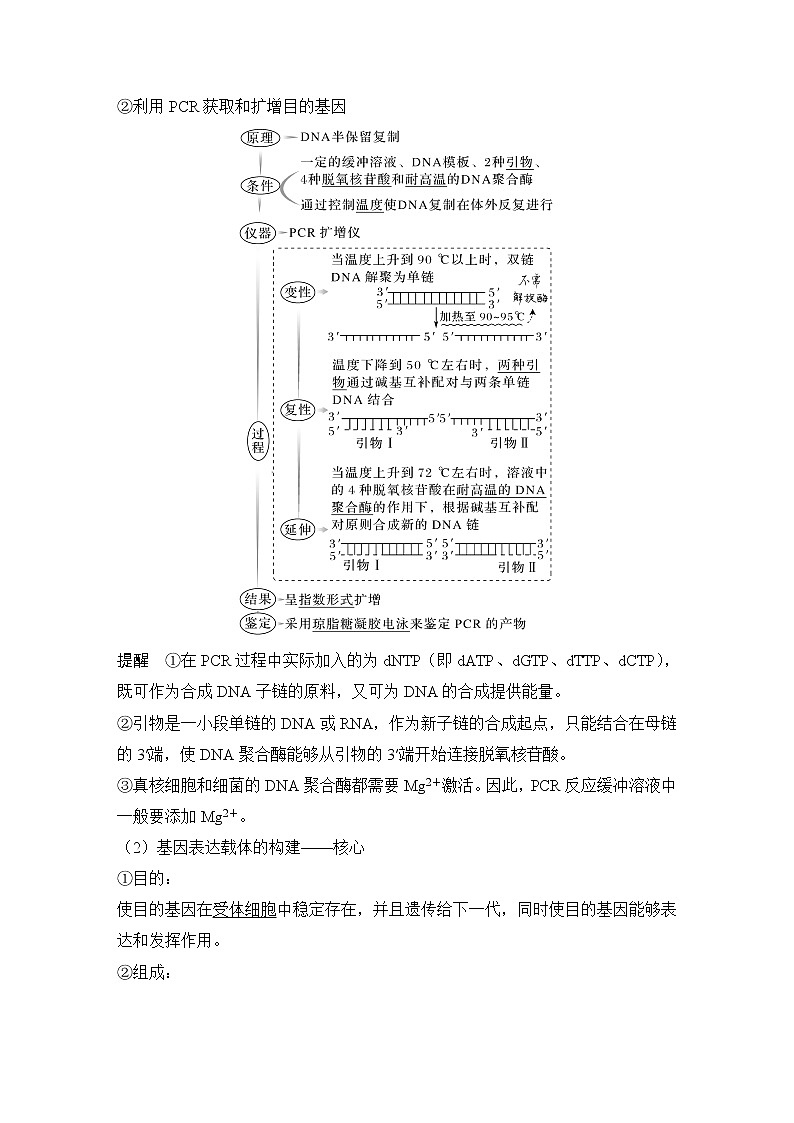 2023版创新设计高考生物（新教材人教版）总复习一轮讲义第35讲 基因工程及生物技术的安全性与伦理问题第3页