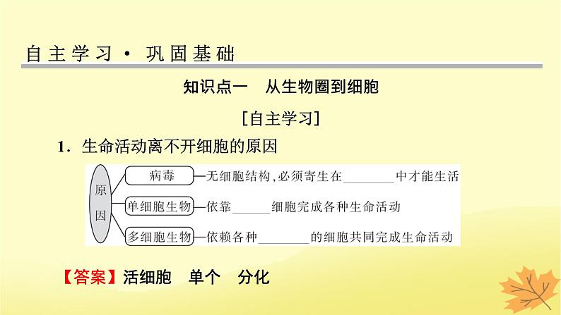 2023版高考生物一轮总复习第1单元走近细胞组成细胞的分子第1讲走近细胞课件第4页