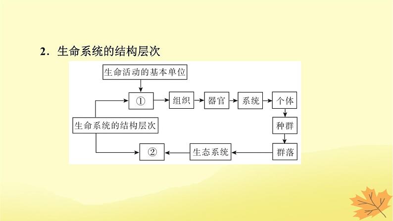 2023版高考生物一轮总复习第1单元走近细胞组成细胞的分子第1讲走近细胞课件第5页