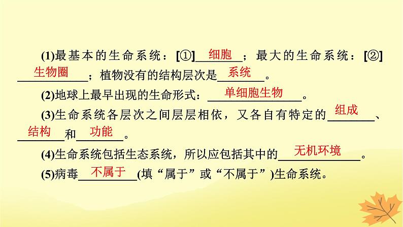 2023版高考生物一轮总复习第1单元走近细胞组成细胞的分子第1讲走近细胞课件第6页