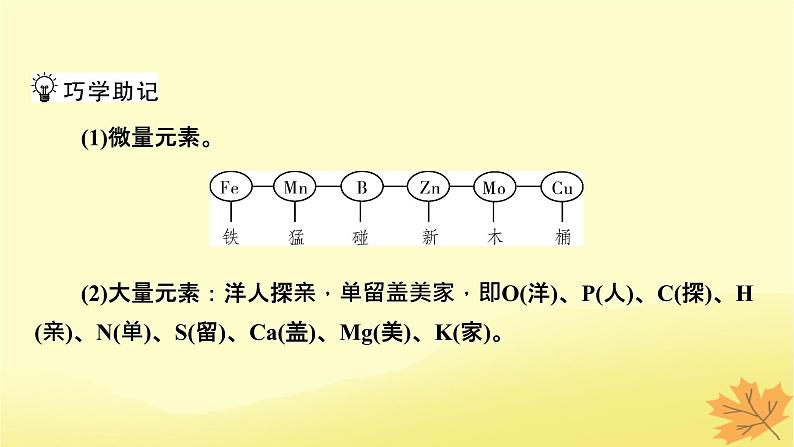 2023版高考生物一轮总复习第1单元走近细胞组成细胞的分子第2讲细胞中的元素和化合物细胞中的无机物课件第7页