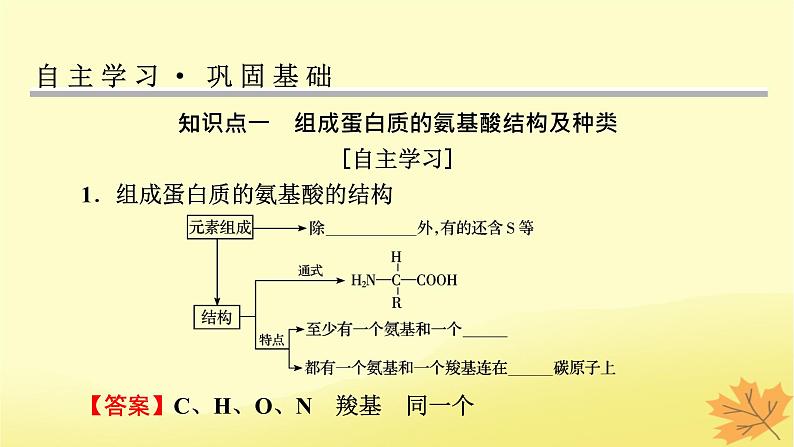 2023版高考生物一轮总复习第1单元走近细胞组成细胞的分子第3讲蛋白质是生命活动的主要承担者课件第3页