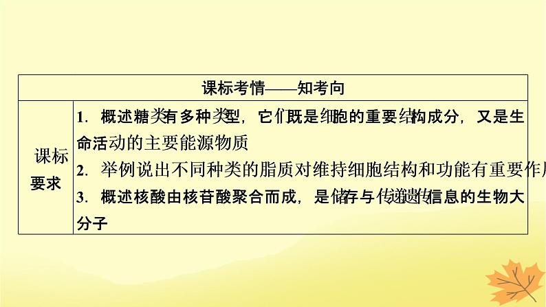 2023版高考生物一轮总复习第1单元走近细胞组成细胞的分子第4讲核酸是遗传信息的携带者细胞中的糖类和脂质课件02