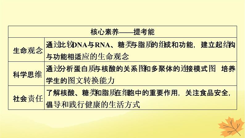 2023版高考生物一轮总复习第1单元走近细胞组成细胞的分子第4讲核酸是遗传信息的携带者细胞中的糖类和脂质课件03