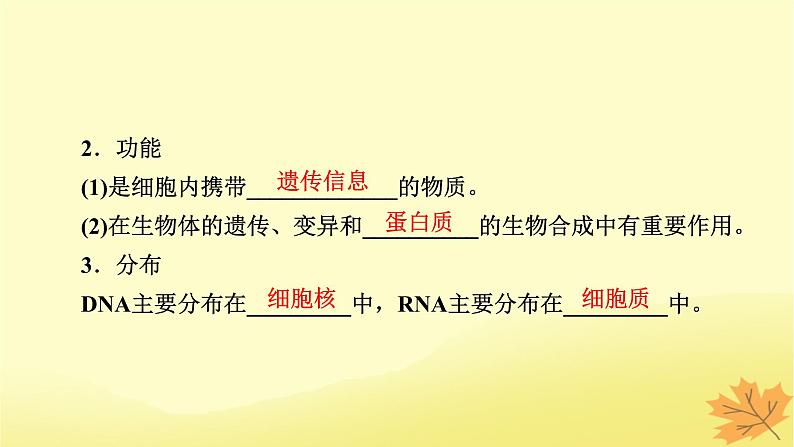 2023版高考生物一轮总复习第1单元走近细胞组成细胞的分子第4讲核酸是遗传信息的携带者细胞中的糖类和脂质课件05