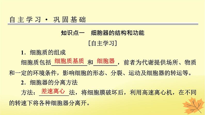 2023版高考生物一轮总复习第2单元细胞的基本结构细胞的物质输入和输出第2讲细胞器之间的分工合作课件04