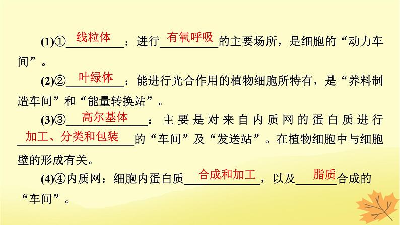 2023版高考生物一轮总复习第2单元细胞的基本结构细胞的物质输入和输出第2讲细胞器之间的分工合作课件06