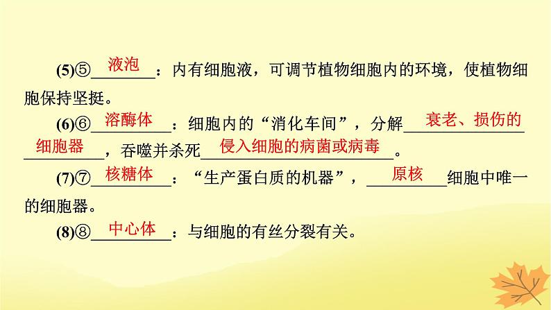 2023版高考生物一轮总复习第2单元细胞的基本结构细胞的物质输入和输出第2讲细胞器之间的分工合作课件07