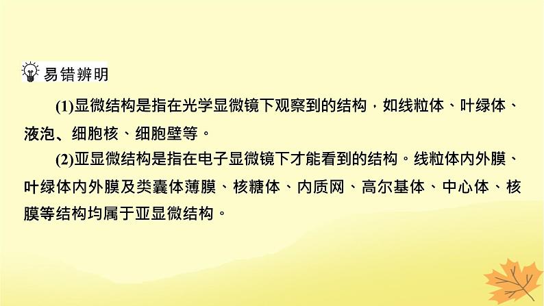 2023版高考生物一轮总复习第2单元细胞的基本结构细胞的物质输入和输出第2讲细胞器之间的分工合作课件08