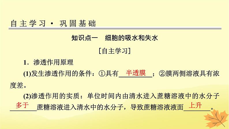 2023版高考生物一轮总复习第2单元细胞的基本结构细胞的物质输入和输出第3讲细胞的物质输入和输出课件第4页