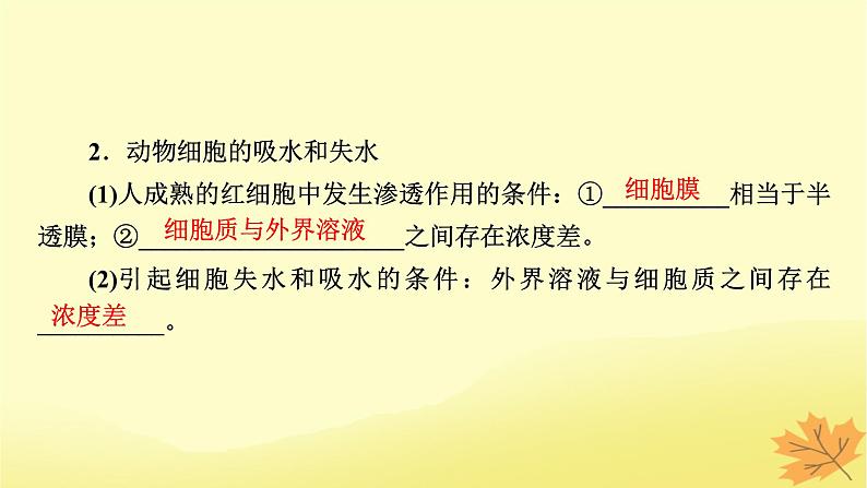 2023版高考生物一轮总复习第2单元细胞的基本结构细胞的物质输入和输出第3讲细胞的物质输入和输出课件第5页