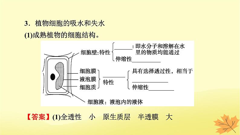 2023版高考生物一轮总复习第2单元细胞的基本结构细胞的物质输入和输出第3讲细胞的物质输入和输出课件第6页