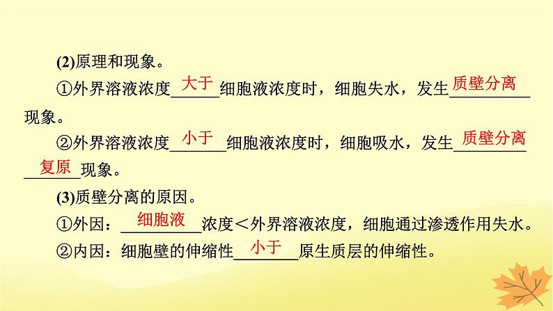 2023版高考生物一轮总复习第2单元细胞的基本结构细胞的物质输入和输出第3讲细胞的物质输入和输出课件第7页