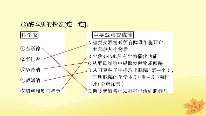 2023版高考生物一轮总复习第3单元细胞的能量供应和利用第1讲降低化学反应活化能的酶课件06