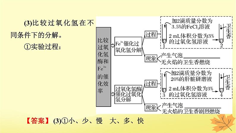 2023版高考生物一轮总复习第3单元细胞的能量供应和利用第1讲降低化学反应活化能的酶课件07