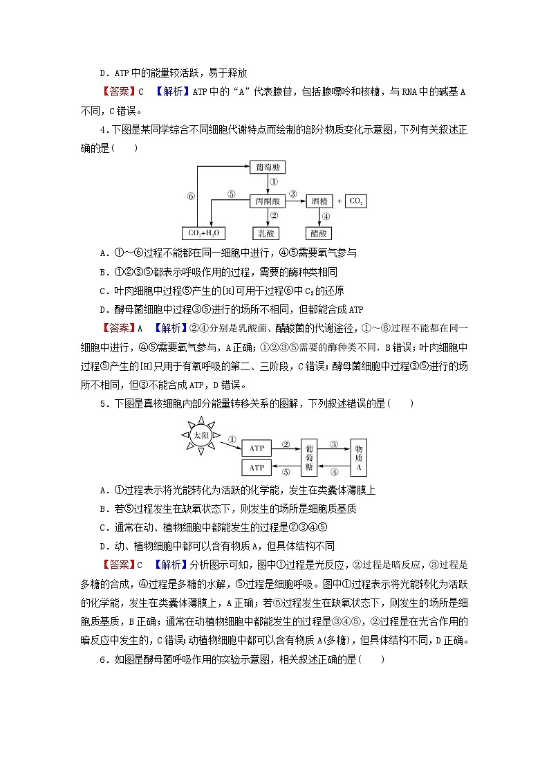 2023版高考生物一轮总复习第3单元细胞的能量供应和利用第2讲细胞的能量“货币”ATP细胞呼吸的原理和应用课后提能演练第2页