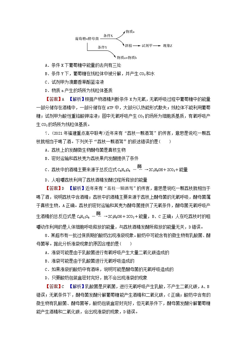 2023版高考生物一轮总复习第3单元细胞的能量供应和利用第2讲细胞的能量“货币”ATP细胞呼吸的原理和应用课后提能演练第3页
