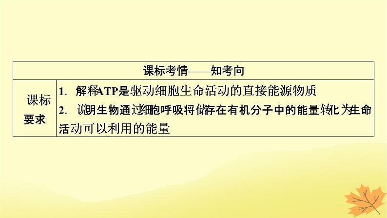 2023版高考生物一轮总复习第3单元细胞的能量供应和利用第2讲细胞的能量“货币”ATP细胞呼吸的原理和应用课件02