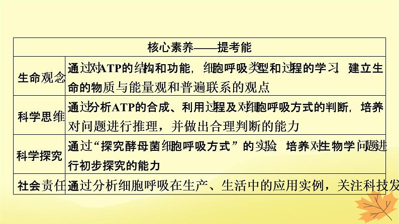 2023版高考生物一轮总复习第3单元细胞的能量供应和利用第2讲细胞的能量“货币”ATP细胞呼吸的原理和应用课件03