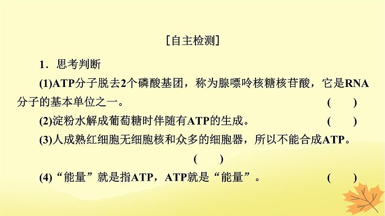 2023版高考生物一轮总复习第3单元细胞的能量供应和利用第2讲细胞的能量“货币”ATP细胞呼吸的原理和应用课件05