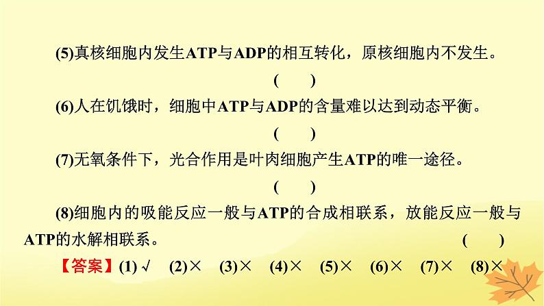 2023版高考生物一轮总复习第3单元细胞的能量供应和利用第2讲细胞的能量“货币”ATP细胞呼吸的原理和应用课件06