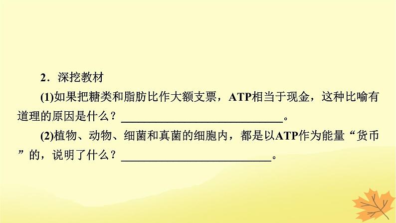 2023版高考生物一轮总复习第3单元细胞的能量供应和利用第2讲细胞的能量“货币”ATP细胞呼吸的原理和应用课件07