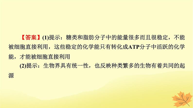 2023版高考生物一轮总复习第3单元细胞的能量供应和利用第2讲细胞的能量“货币”ATP细胞呼吸的原理和应用课件08