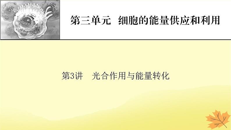 2023版高考生物一轮总复习第3单元细胞的能量供应和利用第3讲光合作用与能量转化课件第1页