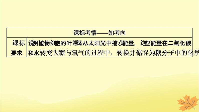 2023版高考生物一轮总复习第3单元细胞的能量供应和利用第3讲光合作用与能量转化课件第2页