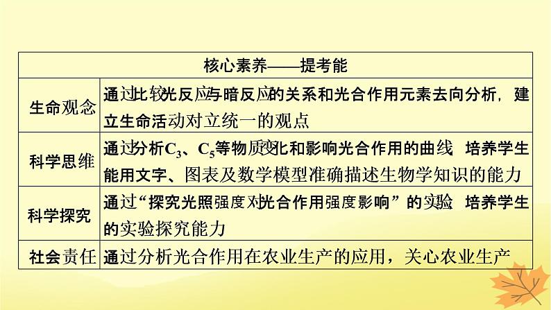 2023版高考生物一轮总复习第3单元细胞的能量供应和利用第3讲光合作用与能量转化课件第3页