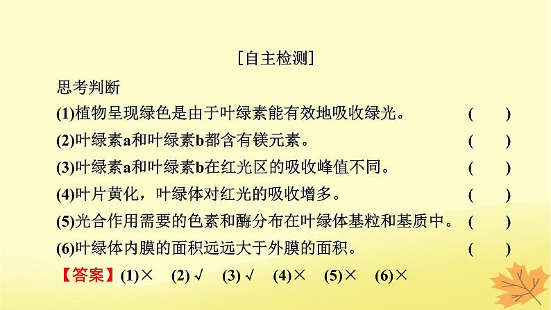 2023版高考生物一轮总复习第3单元细胞的能量供应和利用第3讲光合作用与能量转化课件第5页