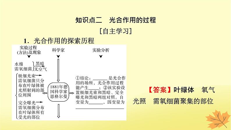 2023版高考生物一轮总复习第3单元细胞的能量供应和利用第3讲光合作用与能量转化课件第6页