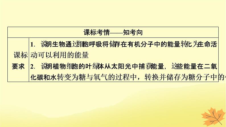 2023版高考生物一轮总复习第3单元细胞的能量供应和利用第4讲光合作用与细胞呼吸的综合分析提升课课件第2页