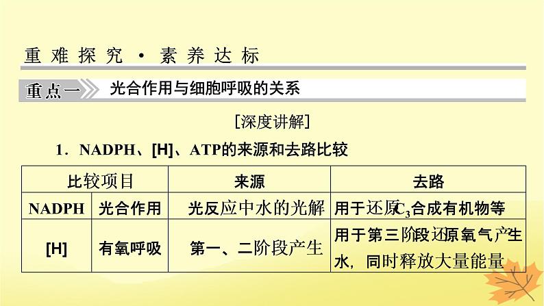 2023版高考生物一轮总复习第3单元细胞的能量供应和利用第4讲光合作用与细胞呼吸的综合分析提升课课件第4页