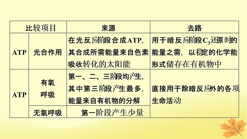 2023版高考生物一轮总复习第3单元细胞的能量供应和利用第4讲光合作用与细胞呼吸的综合分析提升课课件第5页