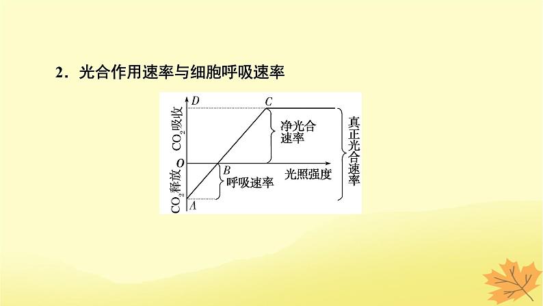 2023版高考生物一轮总复习第3单元细胞的能量供应和利用第4讲光合作用与细胞呼吸的综合分析提升课课件第6页