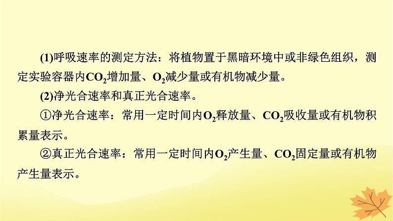 2023版高考生物一轮总复习第3单元细胞的能量供应和利用第4讲光合作用与细胞呼吸的综合分析提升课课件第7页