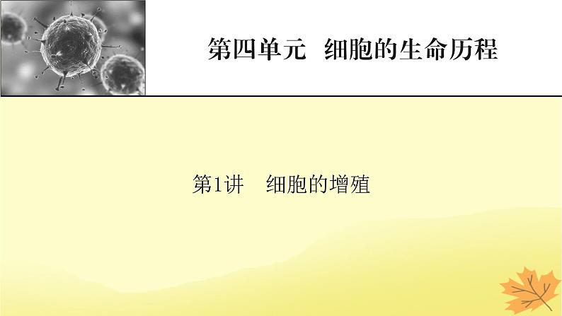 2023版高考生物一轮总复习第4单元细胞的生命历程第1讲细胞的增殖课件01