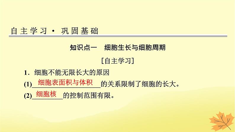 2023版高考生物一轮总复习第4单元细胞的生命历程第1讲细胞的增殖课件03