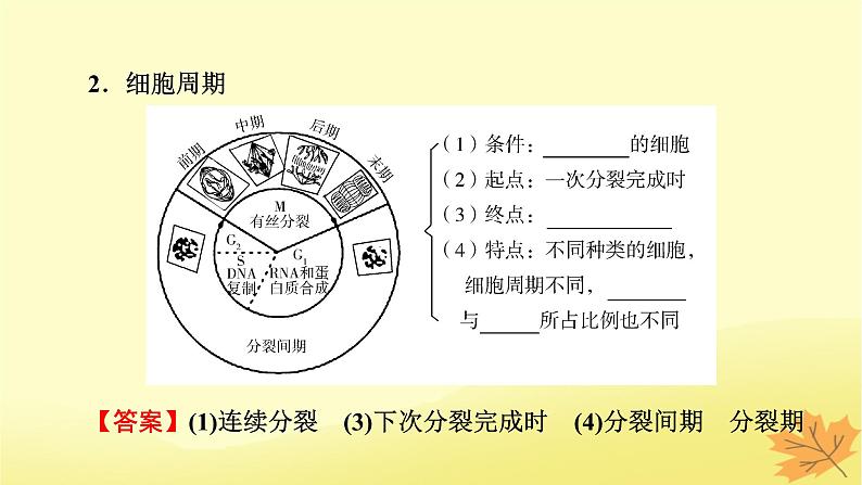 2023版高考生物一轮总复习第4单元细胞的生命历程第1讲细胞的增殖课件04