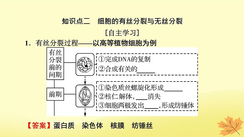 2023版高考生物一轮总复习第4单元细胞的生命历程第1讲细胞的增殖课件08